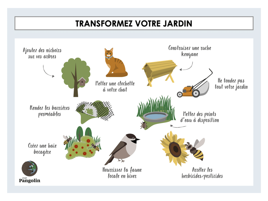 Transformez votre jardin