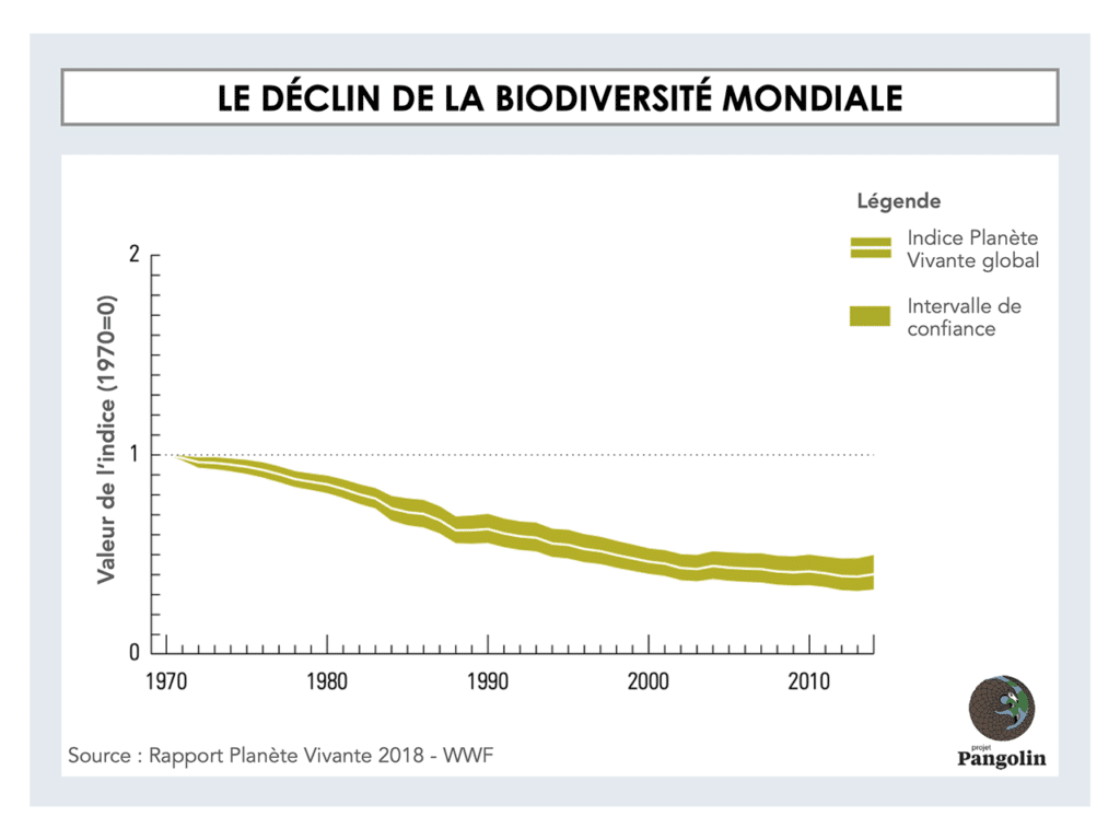 Le déclin de la biodiversité mondiale