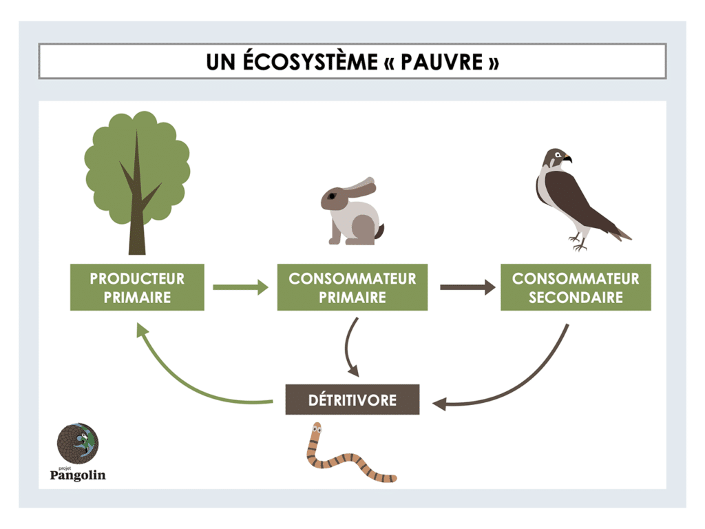 Un écosytème "pauvre"