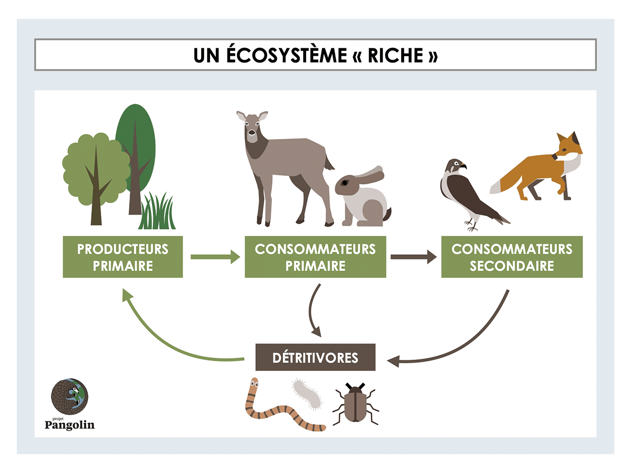 Pourquoi Et Comment Préserver La Biodiversité Le Guide