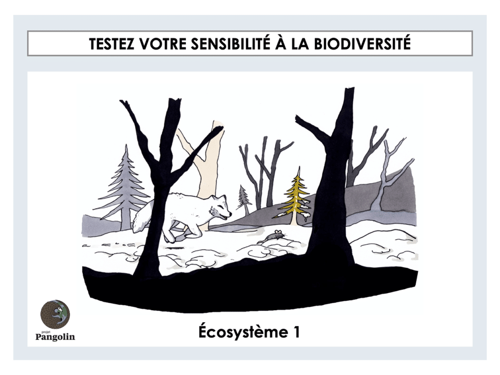 Testez votre sensibilité à la biodiversité