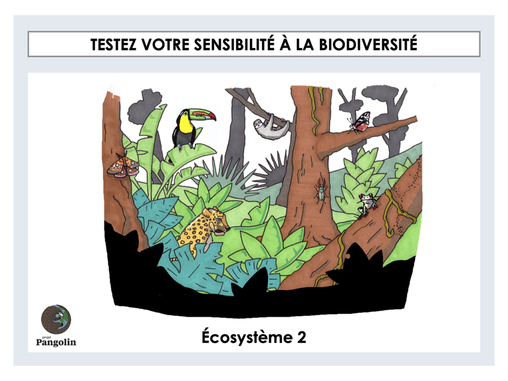 Testez votre sensibilité à la biodiversité