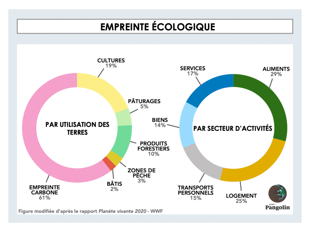 Tout savoir sur l'empreinte carbone  définition, calcul, comment la  réduire.