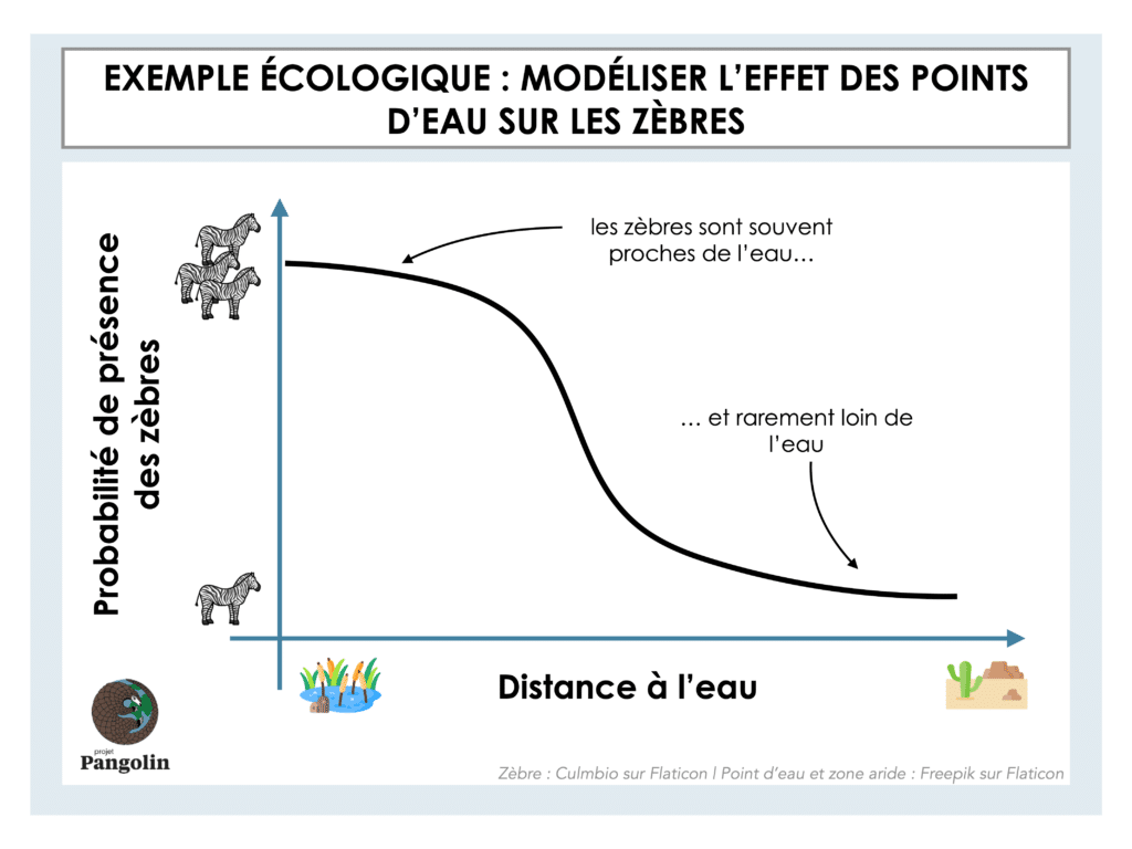 Courbe d'exemple d'une fonction sui décrit la relation entre la probabilité de présence des zèbres et la distance à l'eau.