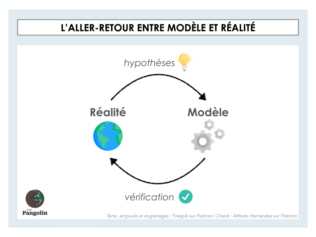 Schéma qui décrit l'aller-retour entre modèle et réalité : la réalité génère des hypothèses utilisés pour construire un modèle et en retour, le modèle doit être vérifié par rapport aux données.