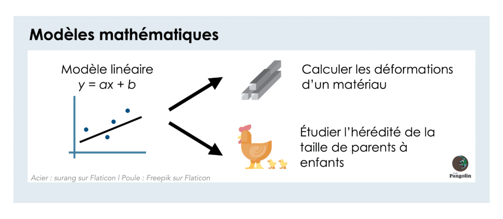 Le modèle linéaire est un modèle mathématique utilisé pour calculer les déformations d'un matériau ou pour étudier l'hérédité.