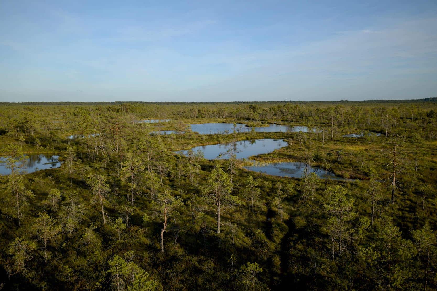 Le mois dernier, le Parlement Européen a adopté la loi de restauration de la nature.